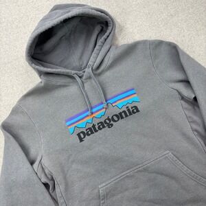 Patagonia Gray Hoodie with Multicolor Logo
